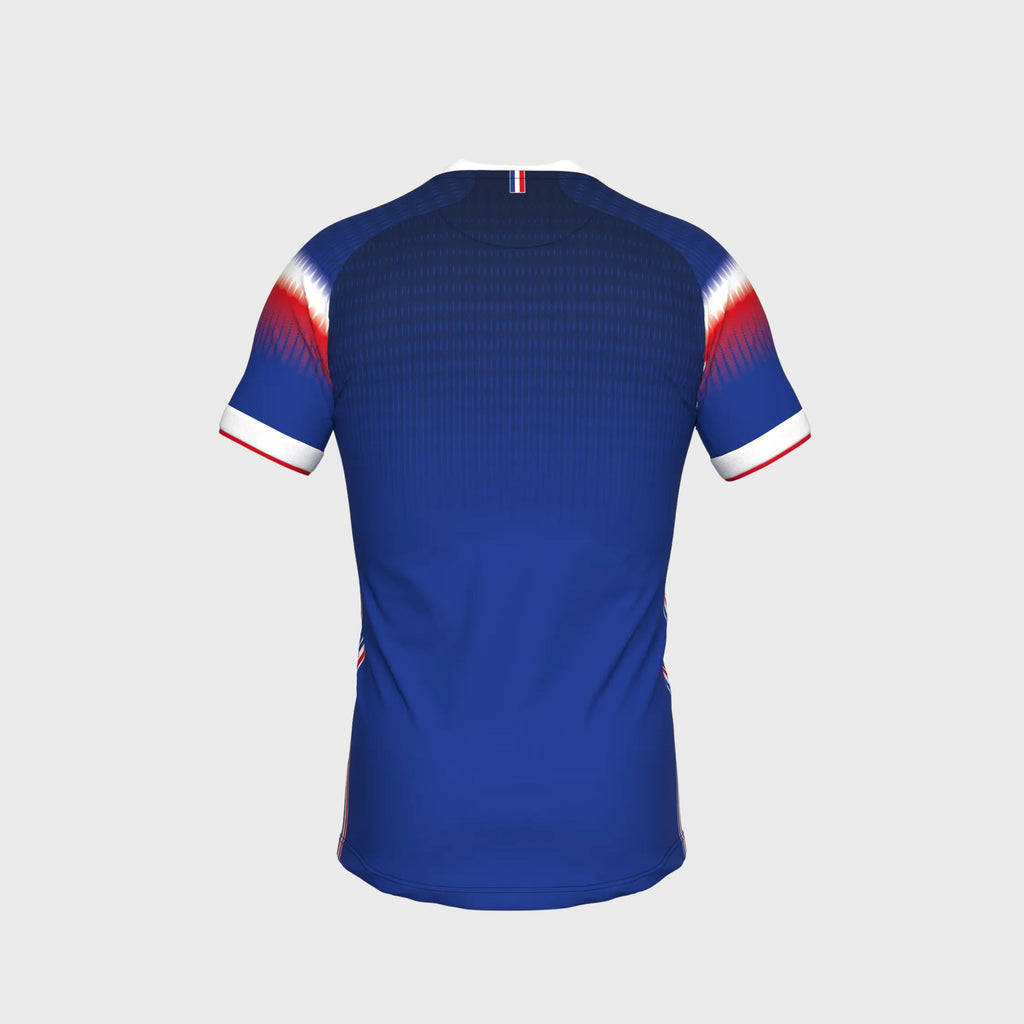 Maillot Match Fédération Française Volley Domicile Bleu Homme